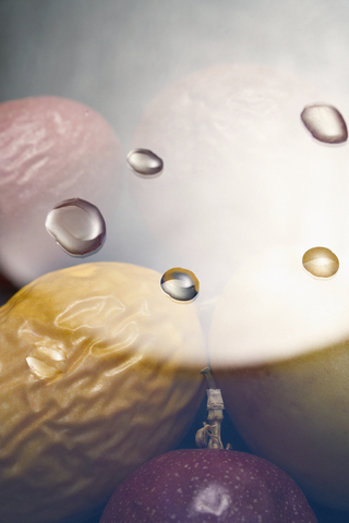art direction and photo

for mamita botanical 